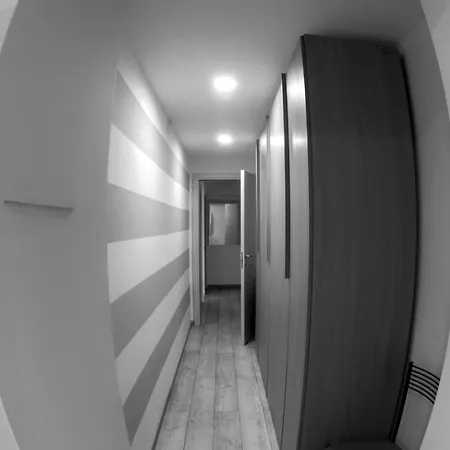 Eleven ホームステイ *